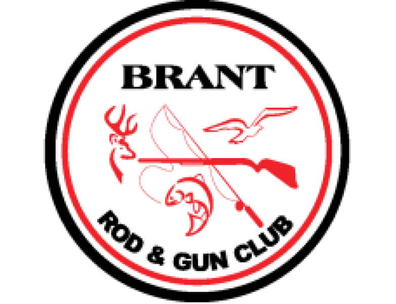 brgc_logo_colour.png